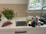 Compleet Nano Cube 20 liter, Dieren en Toebehoren, Vissen | Aquaria en Toebehoren, Ophalen of Verzenden, Zo goed als nieuw, Gevuld zoetwateraquarium