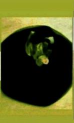 Feestelijk jurk maat 98, Kinderen en Baby's, Kinderkleding | Maat 98, Ophalen of Verzenden, Zo goed als nieuw, Meisje, Jurk of Rok