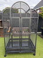 Grote papegaaienkooi, Dieren en Toebehoren, Vogels | Overige Vogels