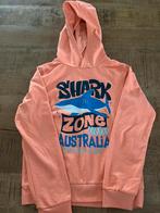 Hoodie Orange Stars maar 140/146, Ophalen of Verzenden, Zo goed als nieuw, Jongen, Trui of Vest