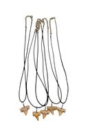 Fossielen haaientanden ketting. Maat 60 cm., Ophalen of Verzenden, Fossiel