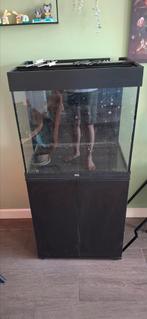 Juwel Lido120 aquarium, Ophalen, Gebruikt, Leeg aquarium