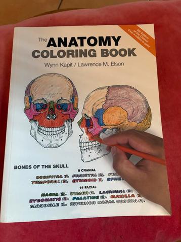 Anatomisch Kleurboek - Nieuw! beschikbaar voor biedingen