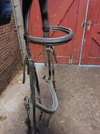 Hoofdstel maat full, Ophalen, Gebruikt, Dressuur