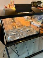 Aquarium, Ophalen, Zo goed als nieuw, Leeg aquarium