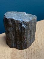 Versteend hout, Ophalen of Verzenden