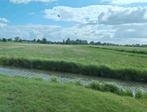 2e snede gras, hooi/ voordroog te koop, Dieren en Toebehoren, Ophalen of Verzenden, Vee