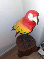 Grote papagaaien beeld, Ophalen, Mens