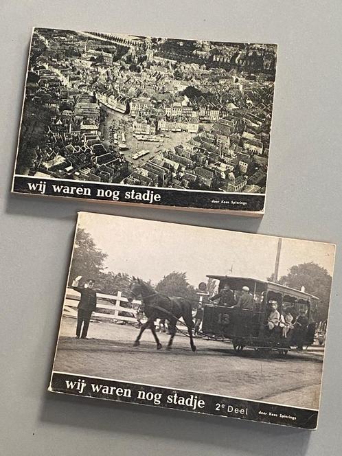 Wij waren nog een stadje  ('s-Hertogenbosch) - 2 delen, Boeken, Geschiedenis | Stad en Regio, Gelezen, 20e eeuw of later, Ophalen of Verzenden