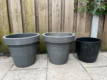 3 bloempotten beschikbaar voor biedingen