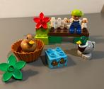 Duplo Bos Eenden (10581) - Complete Set, Kinderen en Baby's, Speelgoed | Duplo en Lego, Ophalen of Verzenden, Zo goed als nieuw
