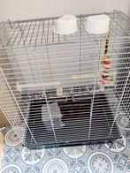 Kooi, Dieren en Toebehoren