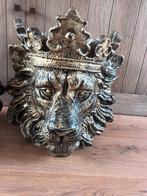 Leeuwenkop Plantenbak 1 stuks, 25 tot 40 cm, Kunststof, Gebruikt, Ophalen of Verzenden