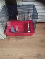 Klein vogel kooitje, Dieren en Toebehoren, Vogels | Hokken en Kooien, Ophalen of Verzenden, Gebruikt, Vogelkooi