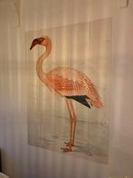 Ixxi Flamingo, Ophalen