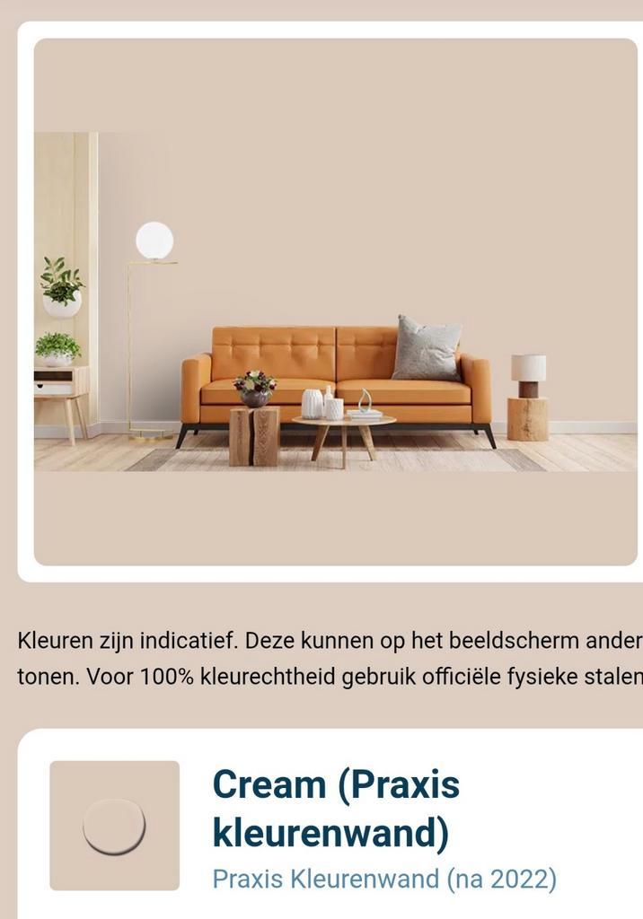 Gamma Muurverf - Cream (Praxis Kleurenwand), Doe-het-zelf en Verbouw, Verf, Beits en Lak, Nieuw, Verf, 5 tot 10 liter, Beige, Ophalen