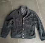 Dolce & Gabbana jas, Dolce & Gabbana, Zwart, Maat 42/44 (L), Ophalen of Verzenden