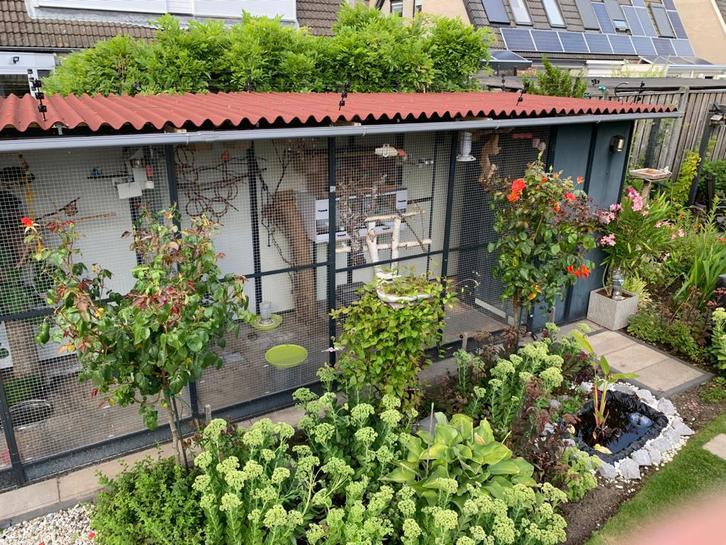 Last van katten op of tegen de volière? Plaats schrikdraad, Dieren en Toebehoren, Vogels | Hokken en Kooien, Nieuw, Overige typen