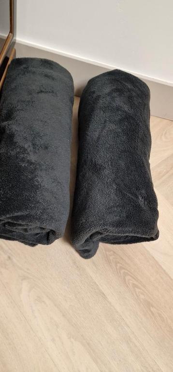 Teddy deken bank deken beschikbaar voor biedingen