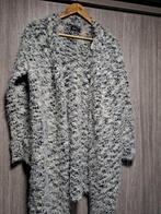 Mooi vest maat 36, Overige kleuren, Maat 42/44 (L), Ophalen of Verzenden, Zo goed als nieuw