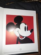 Andy warhol Mickey Mouse officiele uitgave, Antiek en Kunst, Kunst | Litho's en Zeefdrukken, Ophalen of Verzenden