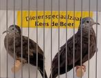 Koppeltje talpacoti duifjes, Dieren en Toebehoren, Vogels | Overige Vogels, Meerdere dieren, Tropenvogel