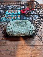 Hondenspul, Dieren en Toebehoren, Ophalen