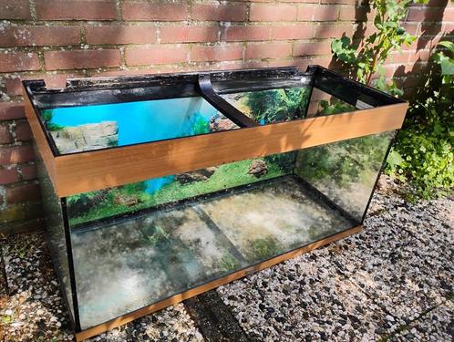Aquarium, Dieren en Toebehoren, Vissen | Aquaria en Toebehoren, Gebruikt, Leeg aquarium, Ophalen