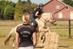 Paardrijlessen, beginnersles, groepslessen, Paardrijles of Ponykampen