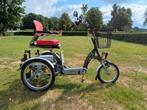 Meerdere Driewielfietsen, Ophalen of Verzenden, Gebruikt, Meerdere