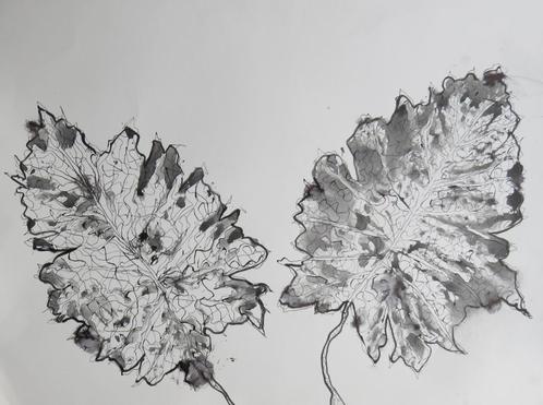 Inkt tekening 62x81cm, Antiek en Kunst, Kunst | Tekeningen en Foto's, Ophalen of Verzenden