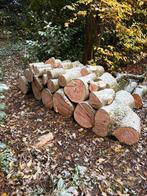 Essenhout te koop, Tuin en Terras, Haardhout, Minder dan 3 m³, Ophalen, Essenhout, Stammen