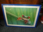 grote posters kikker-fruit, Ophalen of Verzenden, Nieuw, Dier of Natuur, Canvas of Doek