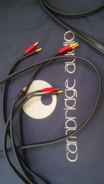 Luidsprekerkabel Speakercable Talk 3 single wire banana hifi beschikbaar voor biedingen