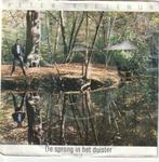 Peter koelewijn - Sprong in het duister - Nr  104, Cd's en Dvd's, Vinyl | Nederlandstalig, Overige formaten, Levenslied of Smartlap
