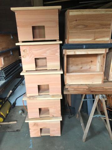 Egelhuis - Bescherm uw stekelige vriend! beschikbaar voor biedingen