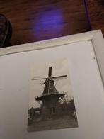 ERICA.  KORENMOLEN. "HEIDEBLOEM", Ophalen of Verzenden, Voor 1920, Sterren en Beroemdheden