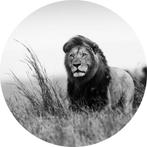 LEEUW / wanddecoratie / GLAS / 100 cm in doorsnee, Ophalen, Huis en tuin decoratie Marie, Nieuw, Peize