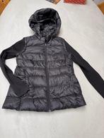 Tommy Hilfiger Jas Dames Maat M, Ophalen of Verzenden, Zo goed als nieuw, Maat 38/40 (M), Zwart