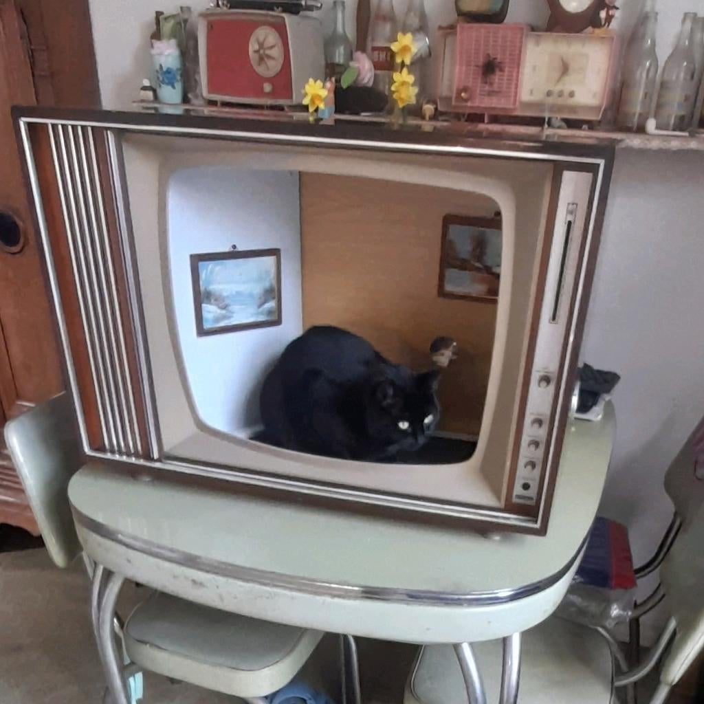 Poezen TV huisjes, Ophalen, Riet