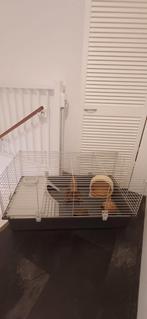 Kooi voor een konijn of cavia, Dieren en Toebehoren, Minder dan 60 cm, Kooi, Cavia, Ophalen of Verzenden