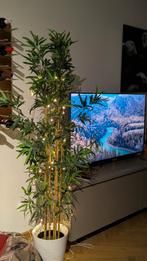 Indoor artificial plant, Ophalen, In pot, Halfschaduw, 100 tot 150 cm