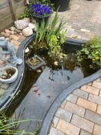 Vijver 240 x 160 x 60 cm, Tuin en Terras, Vijvers, Ophalen of Verzenden, Zo goed als nieuw
