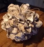 Oesterbol/bal, Ophalen, Zo goed als nieuw