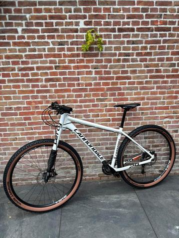 Cannondale flash 29” inch Lefty vork! beschikbaar voor biedingen