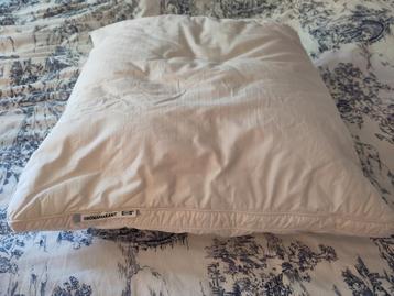 Twee hoofdkussens  beschikbaar voor biedingen