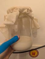 Melk kefir korrels gratis ophalen, Diversen, Levensmiddelen, Ophalen