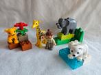 Duplo 4962 lego versie 2009 baby dierentuin COMPLEET, Ophalen of Verzenden, Zo goed als nieuw, Complete set, Duplo