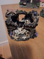 Groot schatkist voor aquarium., Dieren en Toebehoren, Ophalen