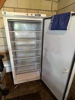 Grote Diepvrieskast 525L, Zakelijke goederen, Horeca | Keukenapparatuur, Ophalen, Gebruikt, Koelen en Vriezen